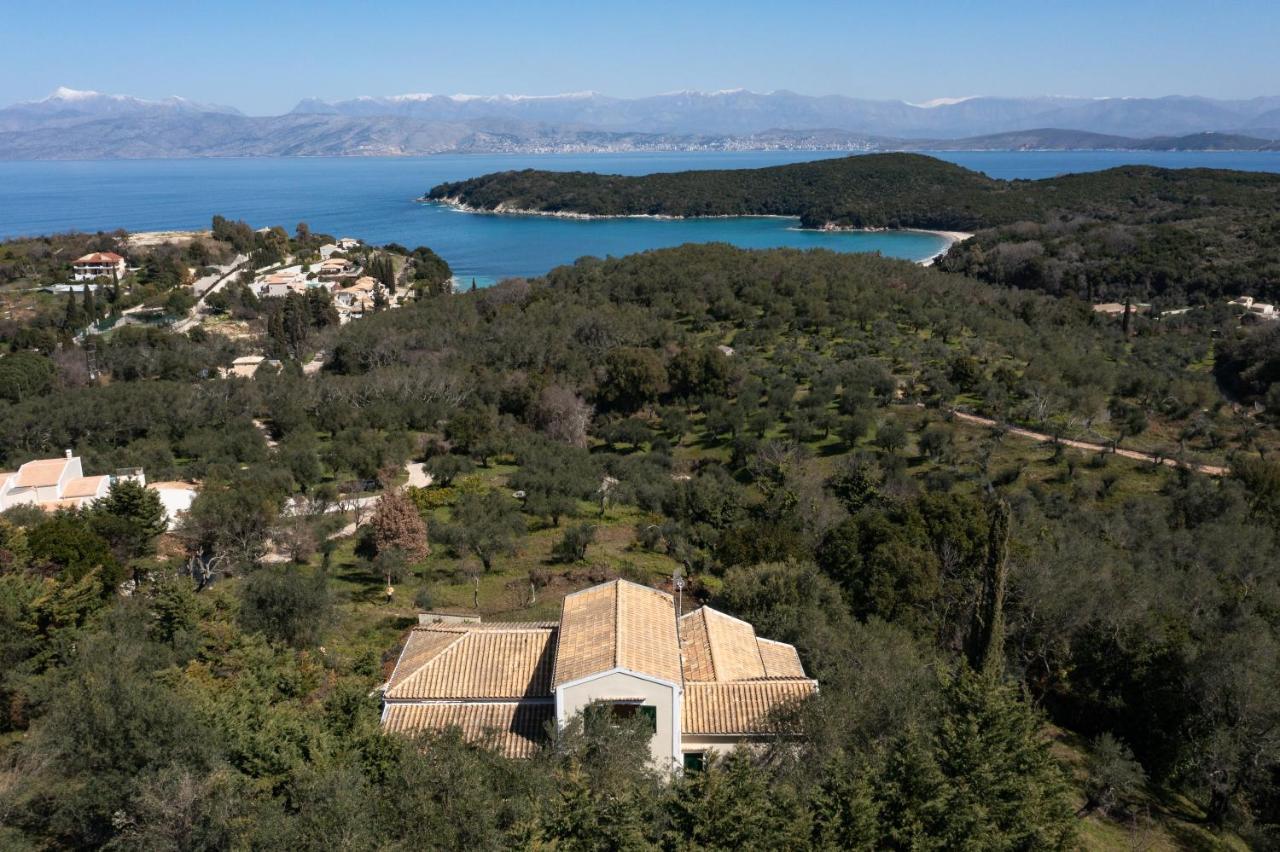 Anemelia By Rodostamo Collection * Kassiopi